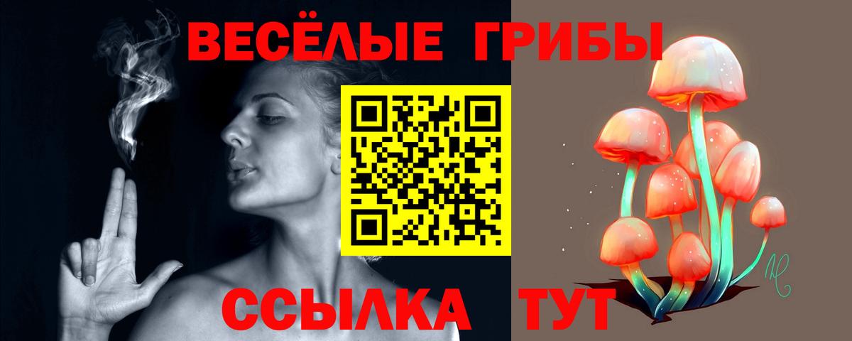 Галлюциногенные грибы мицелий  Псилоцибиновые грибы прущие грибы  Братск  Вход с VPN 